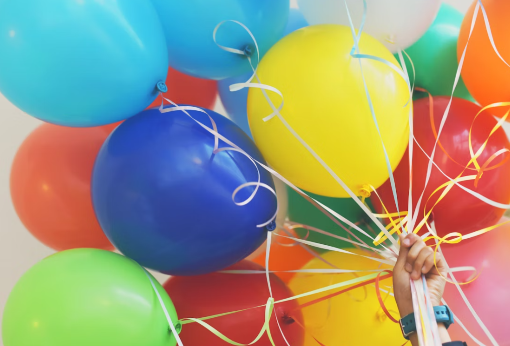 Birthday Party Venue