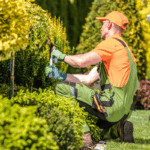 Commercial Landscaping Services