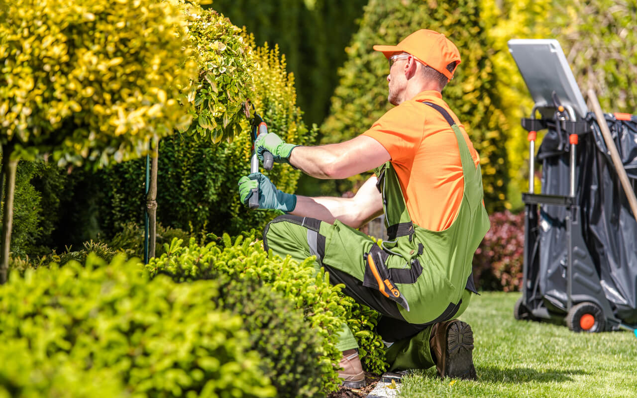 Commercial Landscaping Services