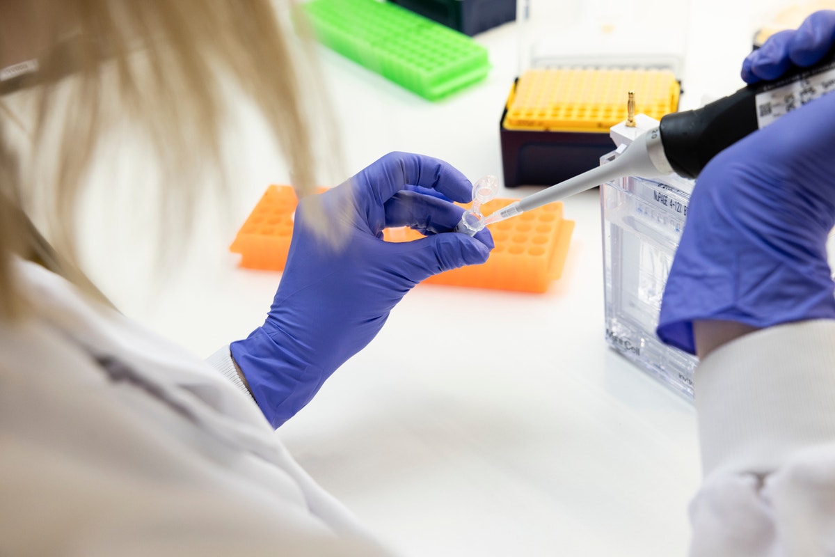 Recombinant Antibodies,